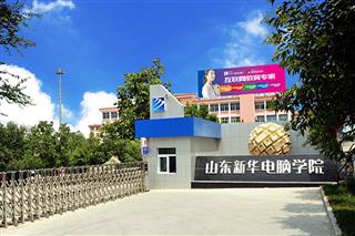 专业展示